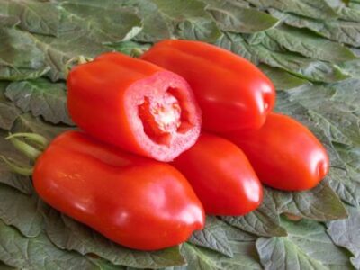 San Marzano