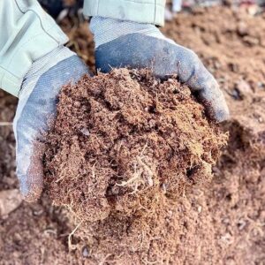 Organic soil and fertilizer