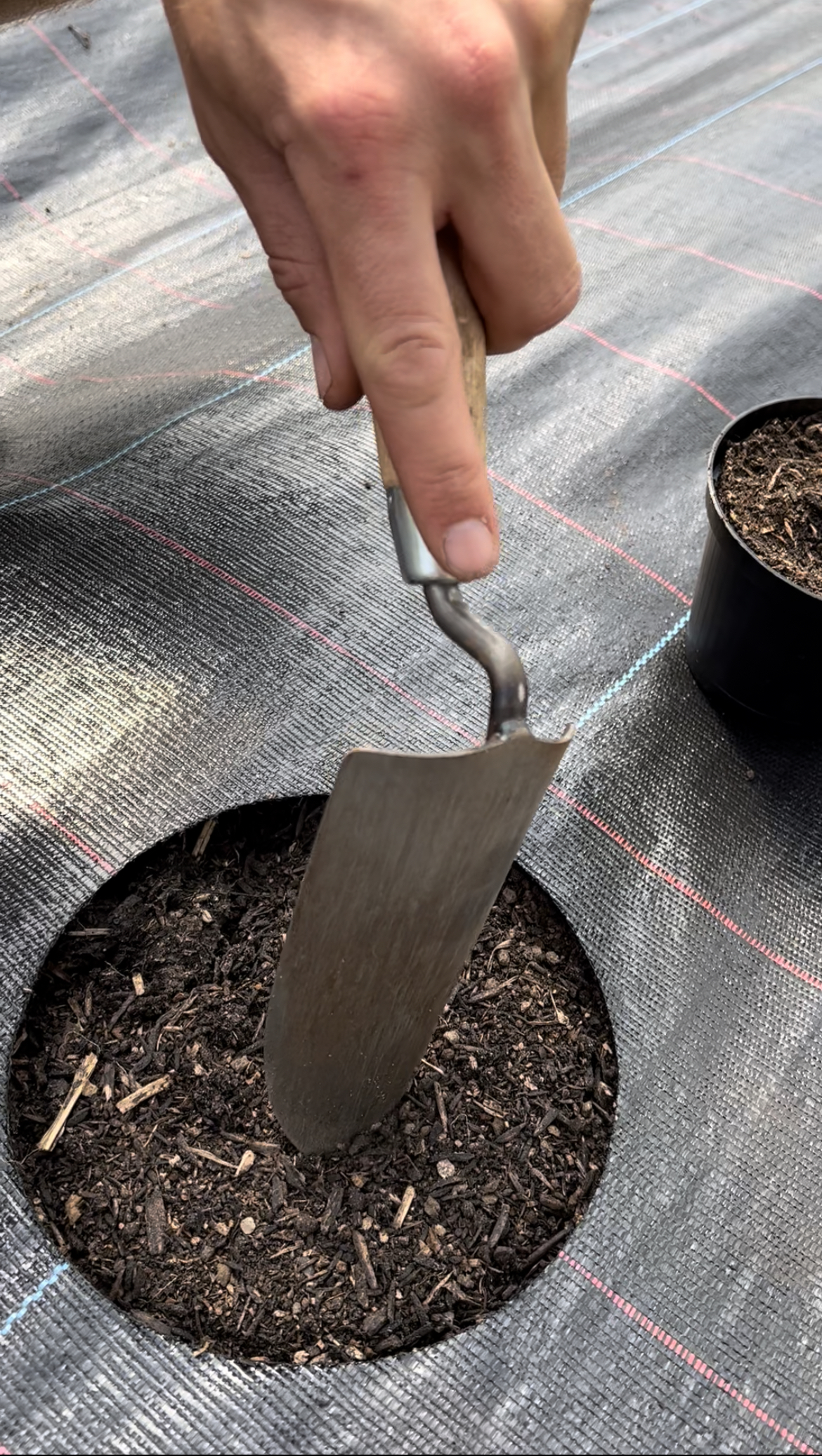 Hånd der graver hul med planteskovl