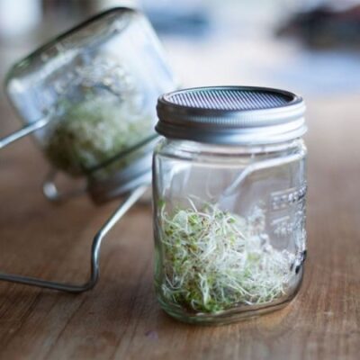 2 Spireglas med stativ