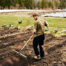 Growers & Co. Bed forberedelse rive