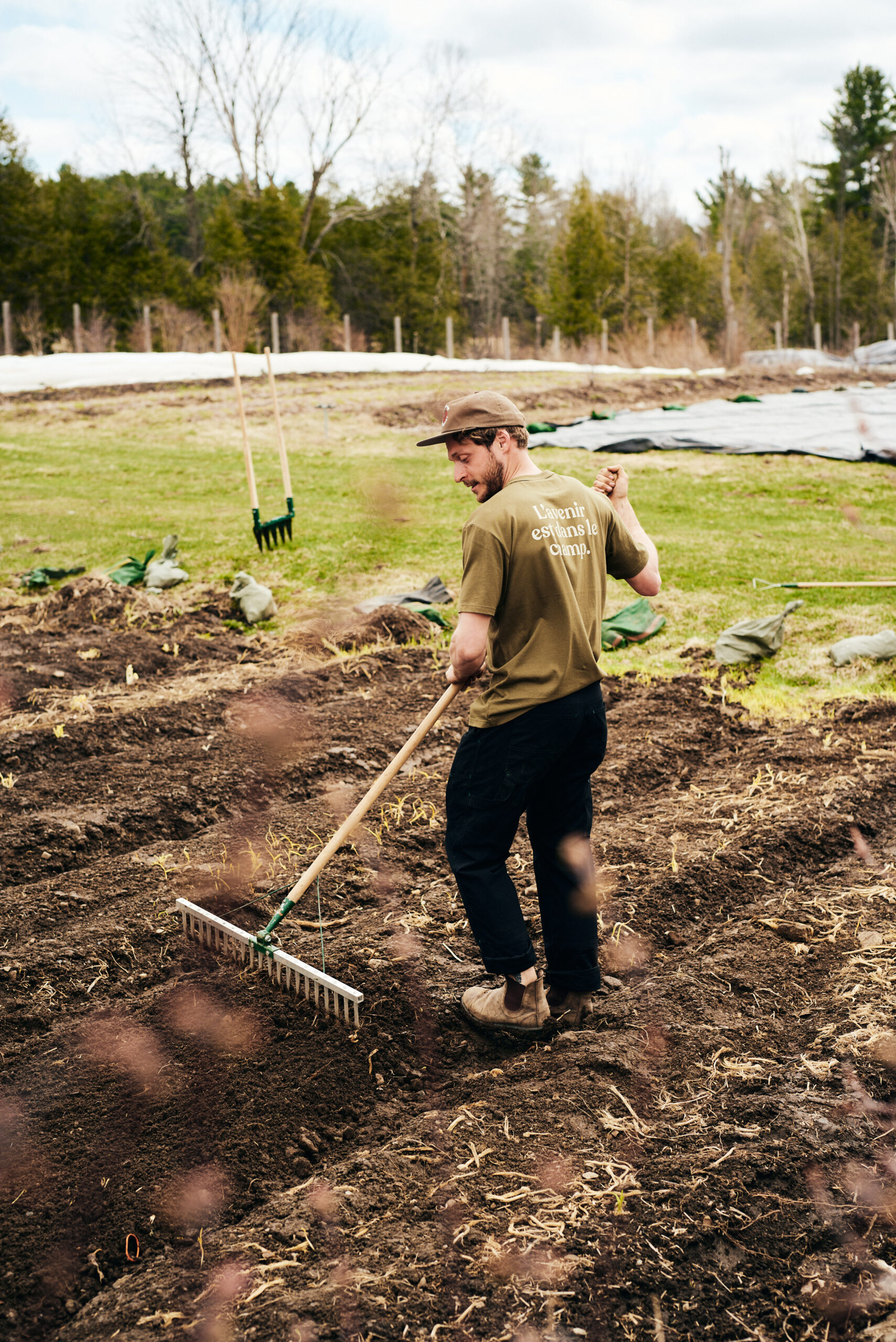 Growers & Co. Bed forberedelse rive