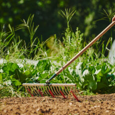 Værktøjer til klargøring af bede