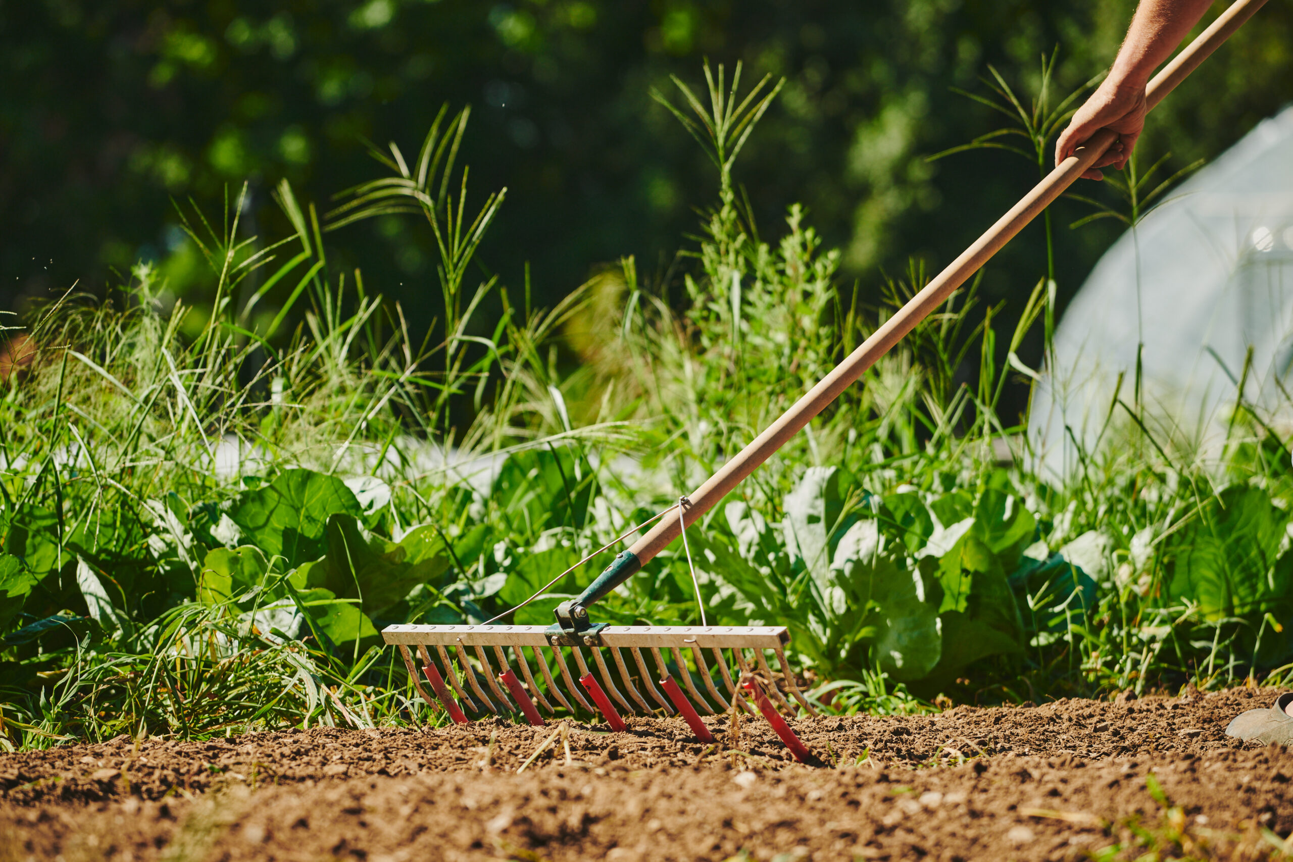 Growers & Co. Bed forberedelse rive - Billede 2