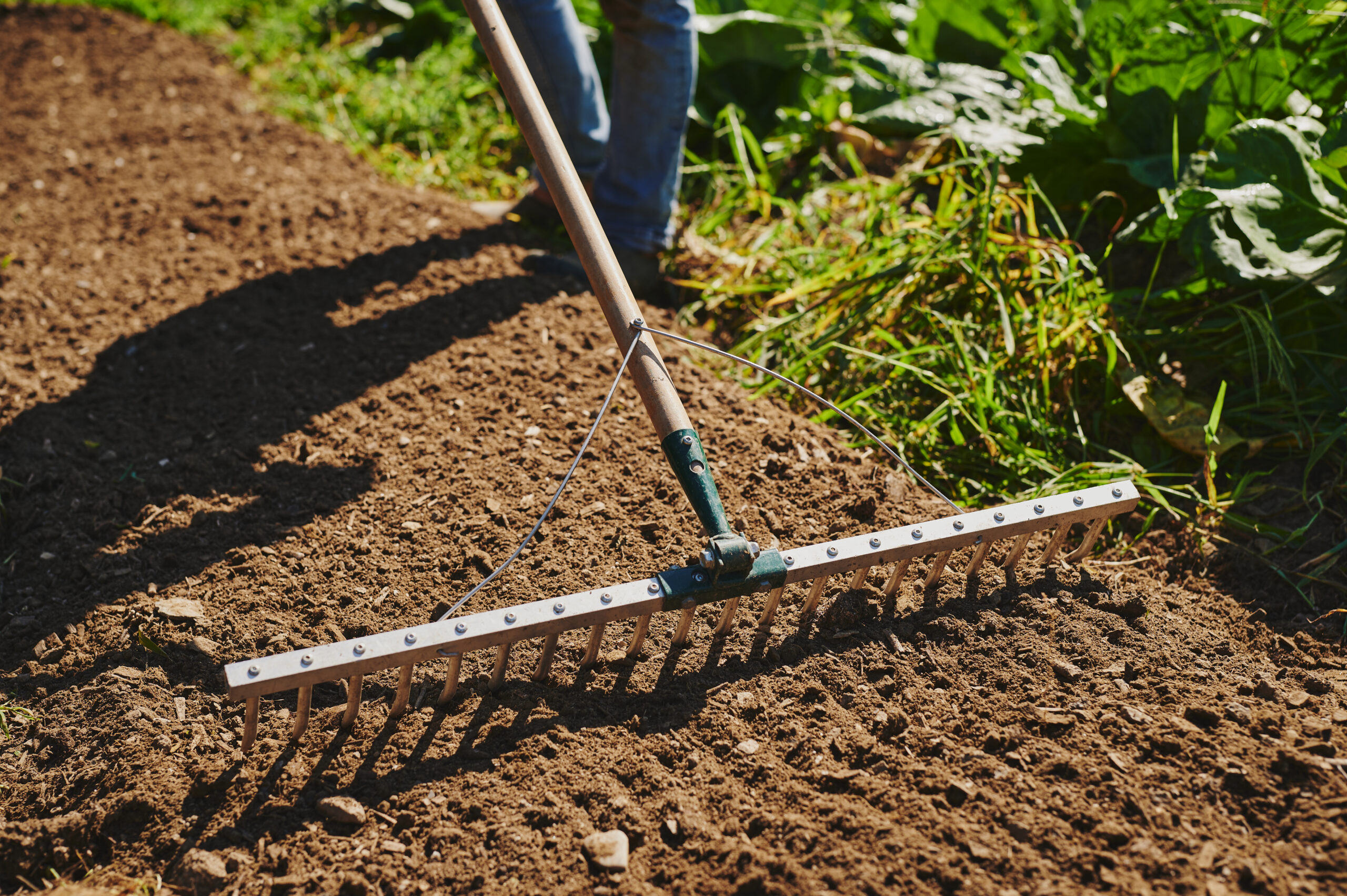 Growers & Co. Bed forberedelse rive - Billede 4