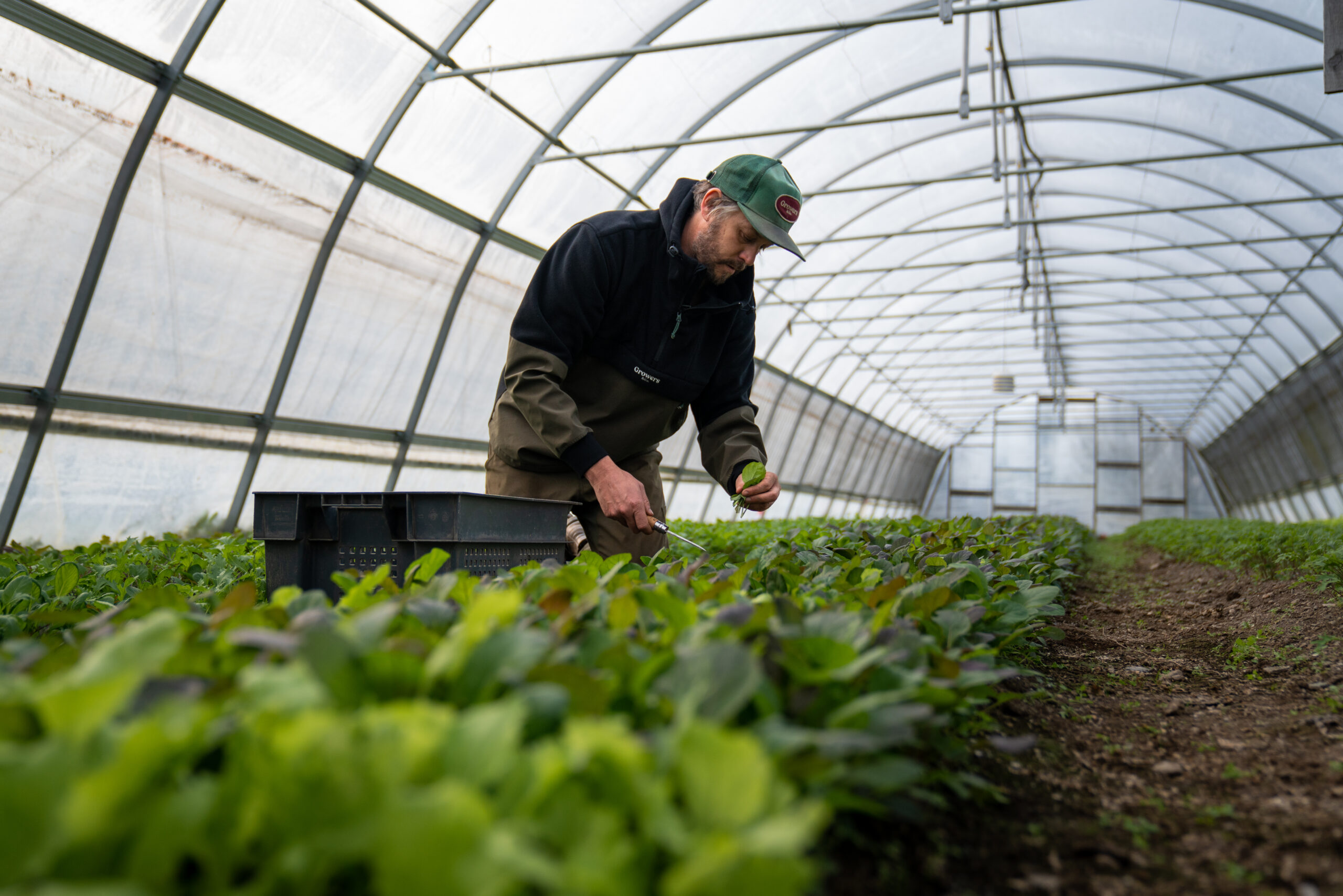 Growers & Co. Castello Unisex anorak - Billede 4