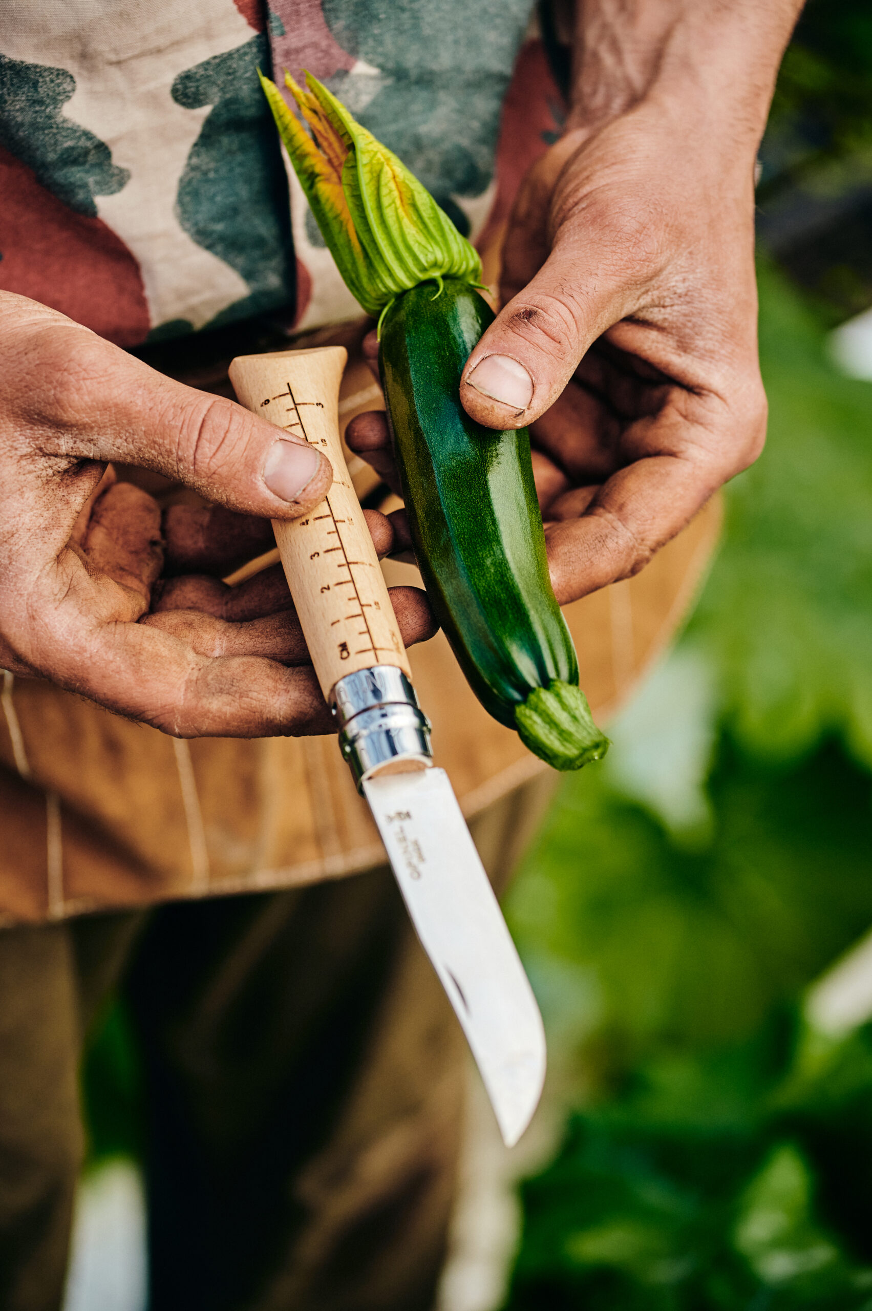 Growers & Co. Opinel høstkniv No.10 - Billede 5