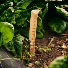 Growers & Co. Opinel høstkniv No.10