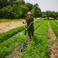 Growers & Co. Wheel hoe