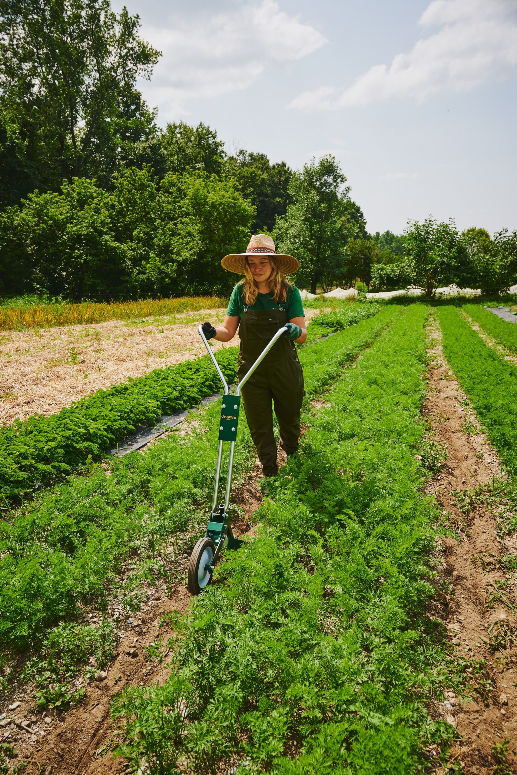 Growers & Co. Wheel hoe