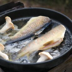 Uddannelse i overlevelse og selvforsyning