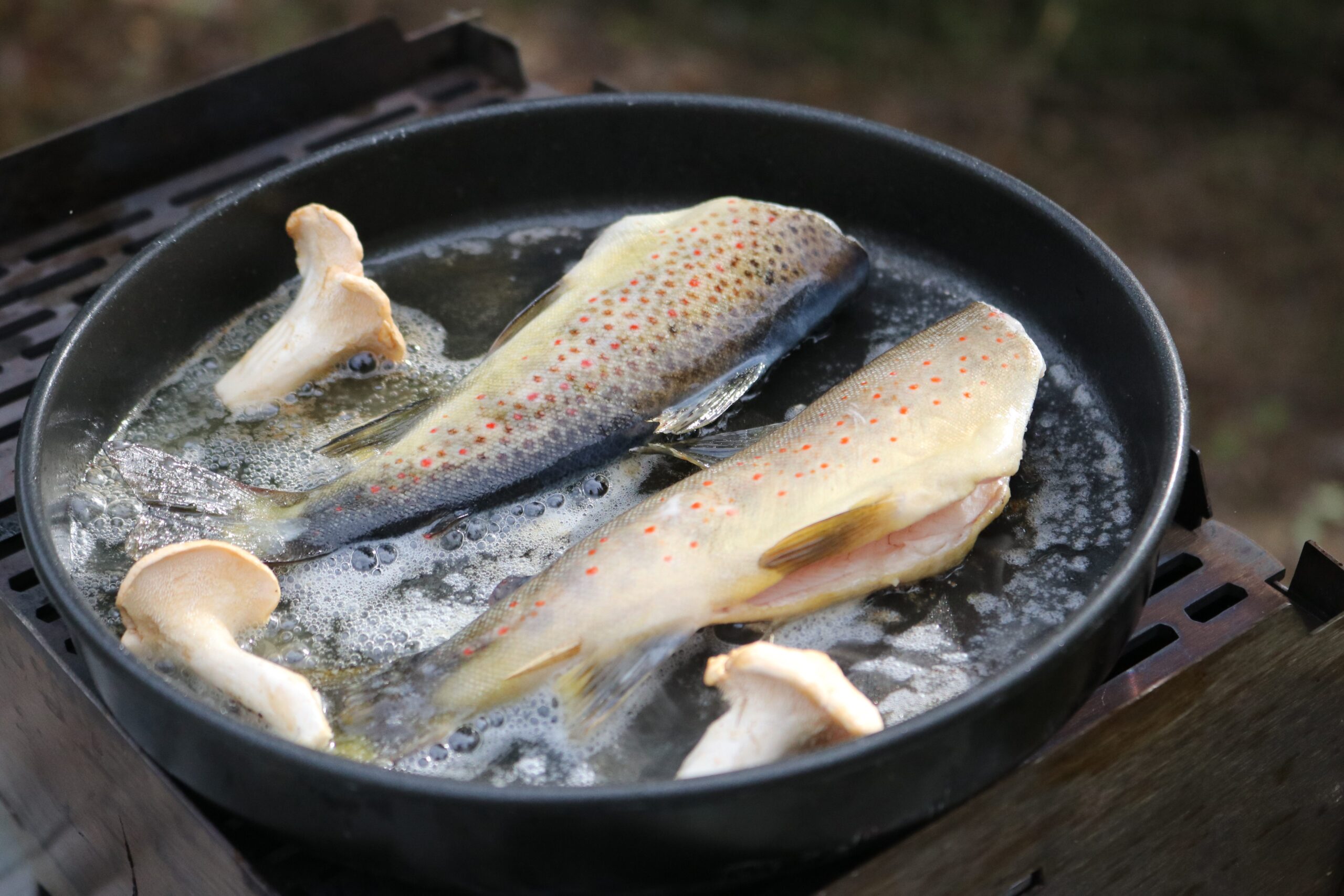 Offline vildmarkstur til Sverige (foråret 2026) - Billede 5