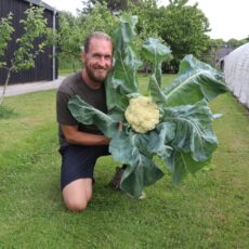 Grundkursus i selvforsyning (forår)