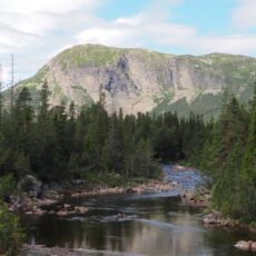 Offline vildmarkstur til Sverige (foråret 2026)