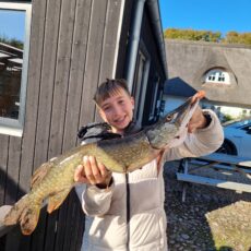 Vestjysk børne fiskecamp for begyndere (uge 44)